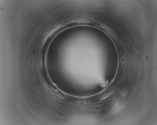 X0000065970727200603061148