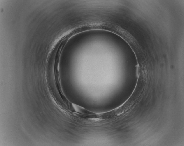 X0000065970728200603061149