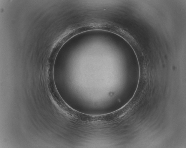 X0000065970730200603061149