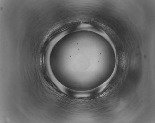 X0000065970731200603061149