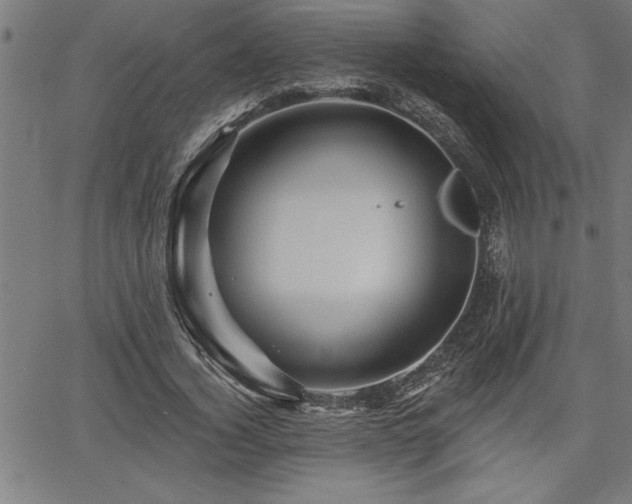 X0000065970732200603061149