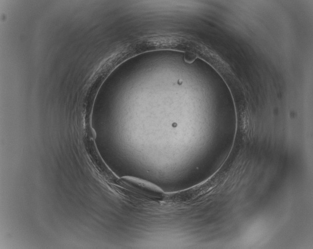 X0000065970733200603061149