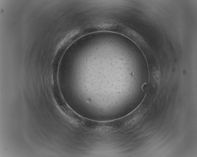 X0000065970734200603061149