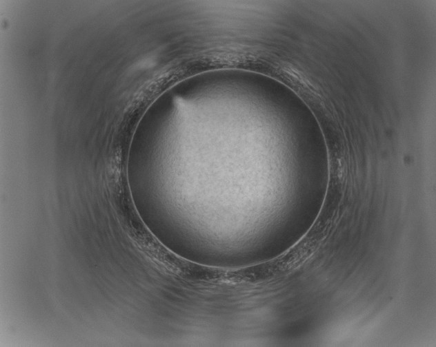 X0000065970737200603061149