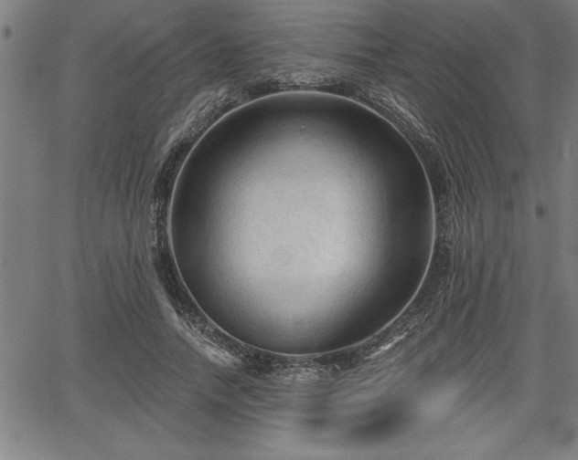 X0000065970738200603061149