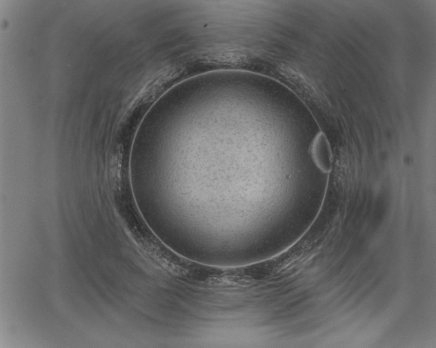 X0000065970739200603061149