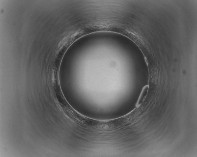 X0000065970740200603061149