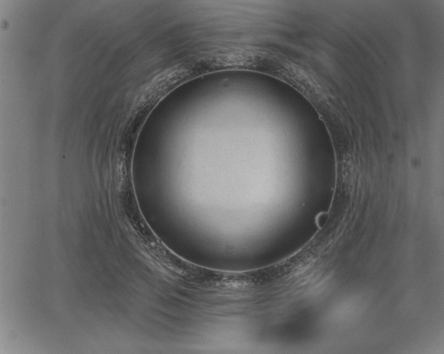 X0000065970741200603061149