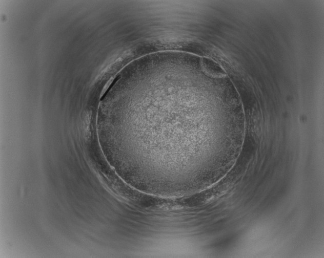 X0000065970742200603061149