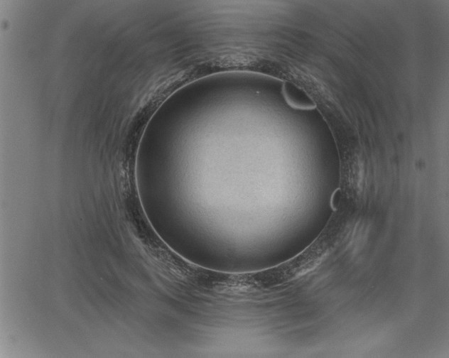 X0000065970743200603061149