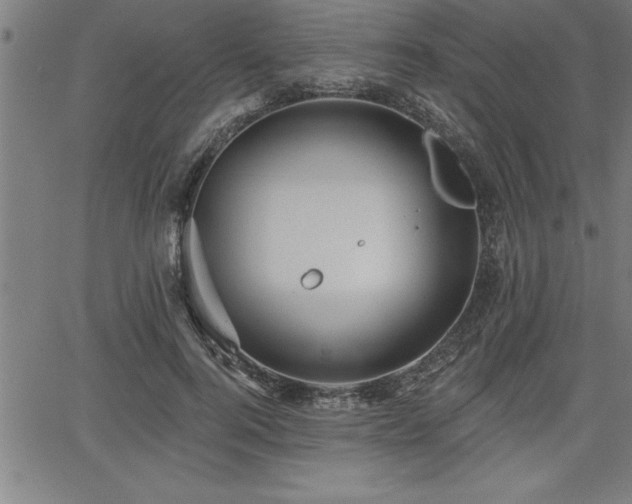 X0000065970744200603061149