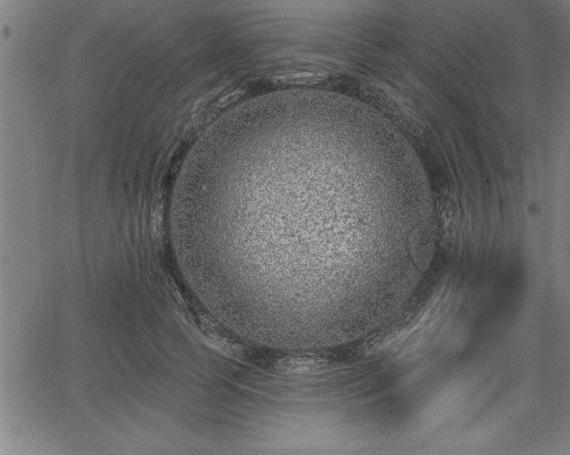 X0000065970745200603061149