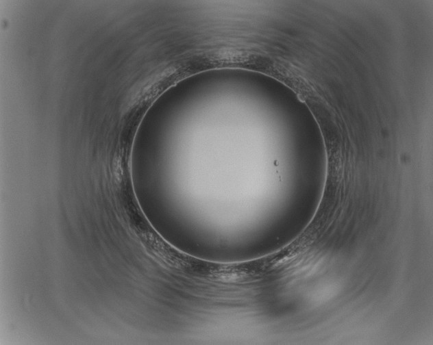 X0000065970746200603061149