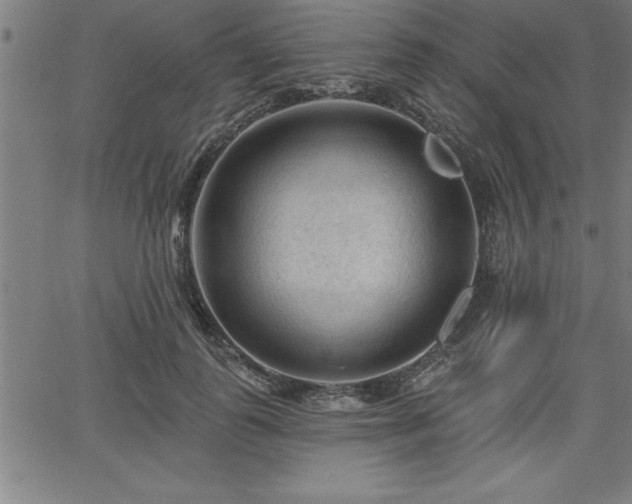 X0000065970747200603061149