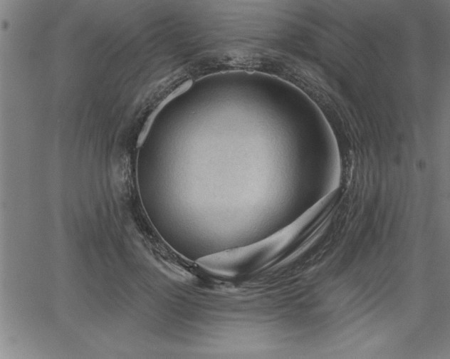 X0000065970748200603061149