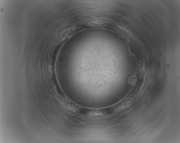 X0000065970749200603061149