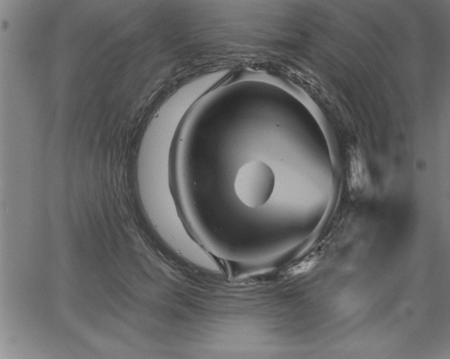 X0000065970750200603061149