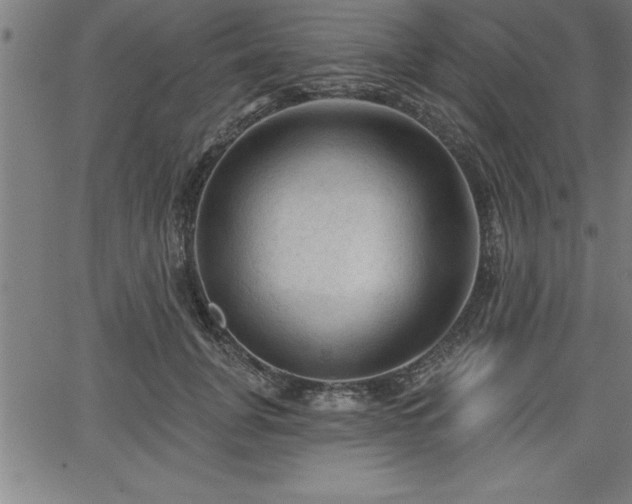 X0000065970751200603061149