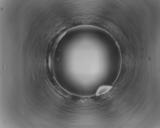 X0000065970752200603061149