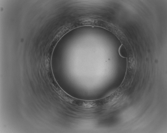 X0000065970753200603061149