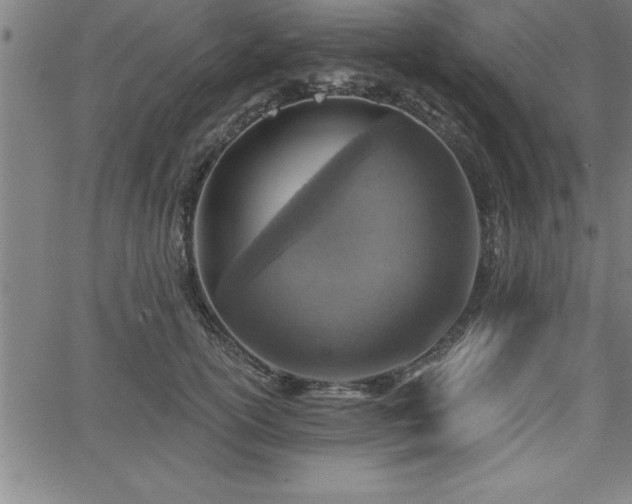 X0000065970754200603061149