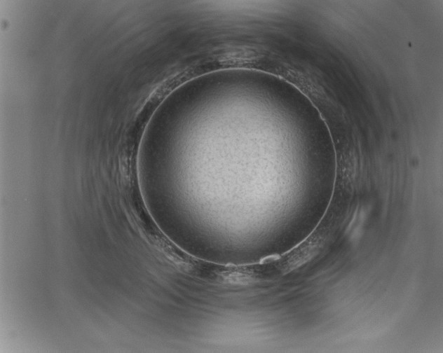 X0000065970755200603061149