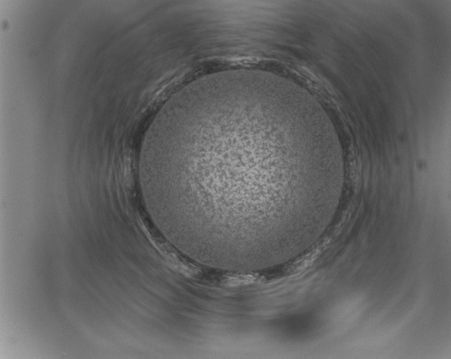 X0000065970757200603061149