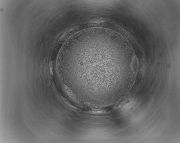 X0000065970758200603061149