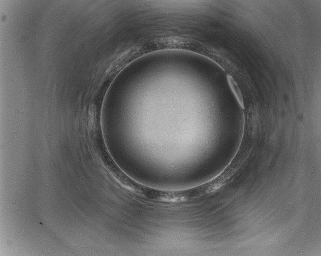 X0000065970760200603061149