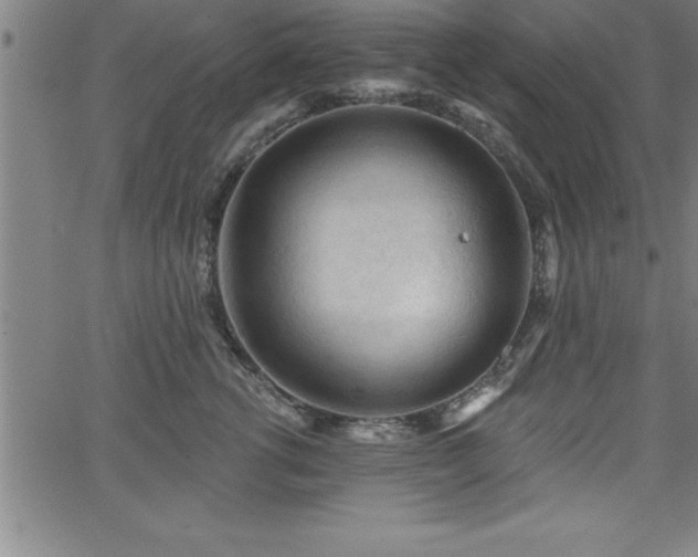 X0000065970762200603061149