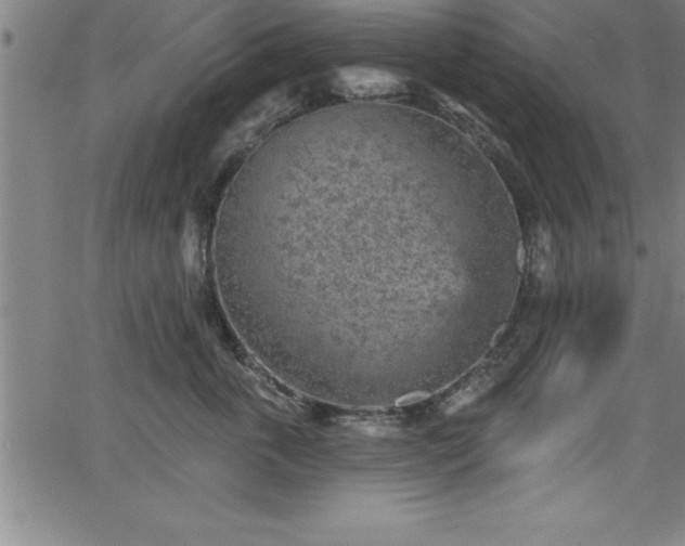 X0000065970763200603061149