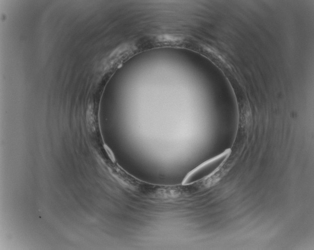 X0000065970764200603061149