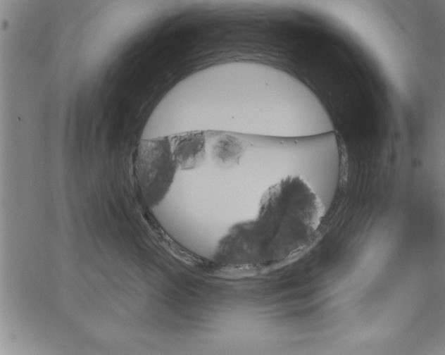 X0000065970765200603061149