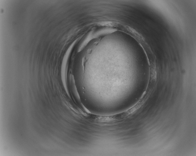 X0000065970766200603061149