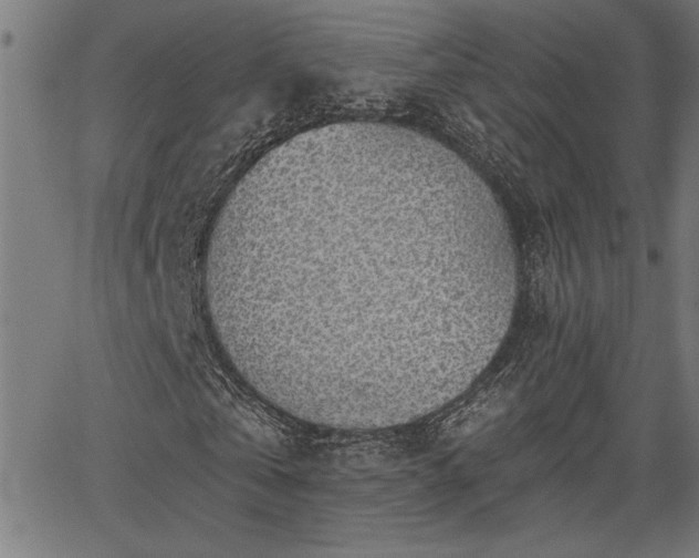 X0000065970769200603061148