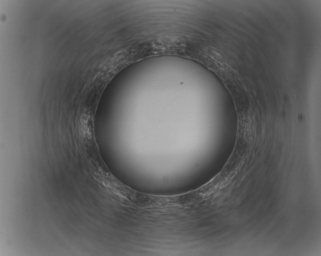 X0000065970770200603061148