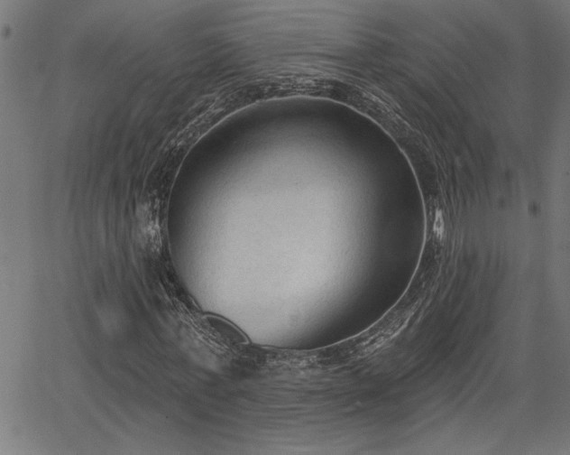 X0000065970771200603061148