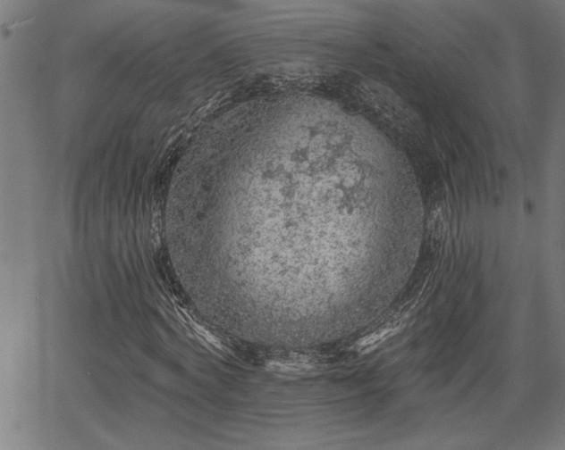 X0000065970772200603061148