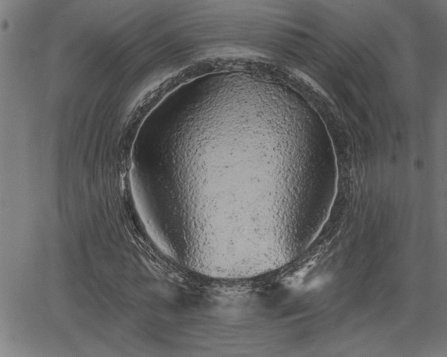 X0000065970775200603061148