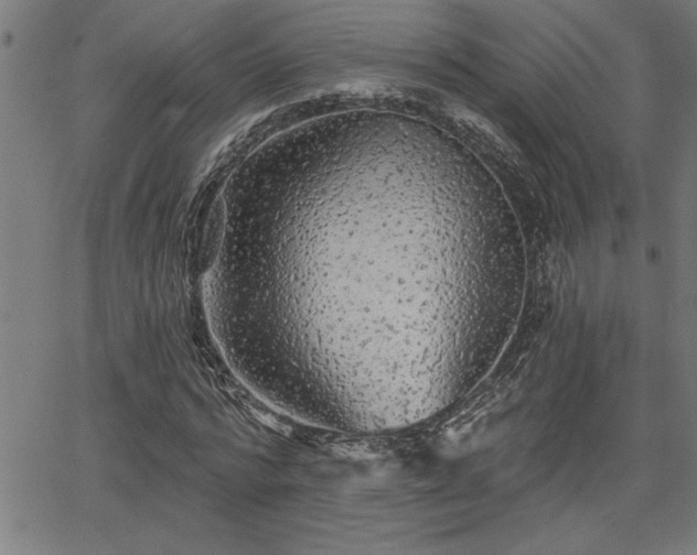 X0000065970776200603061148