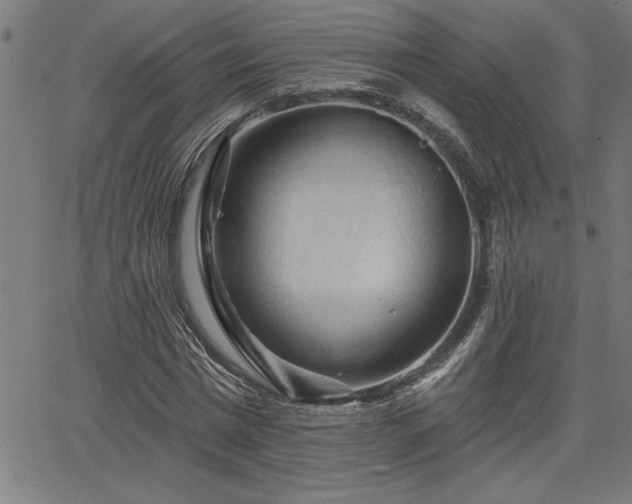 X0000065970777200603061148