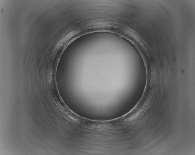 X0000065970778200603061148