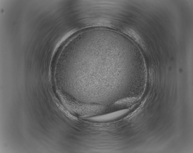 X0000065970780200603061148