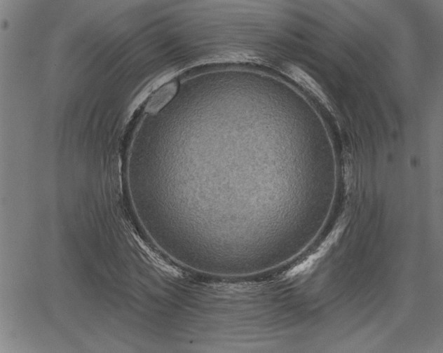 X0000065970781200603061148