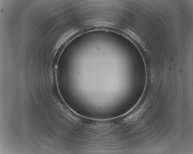 X0000065970782200603061148