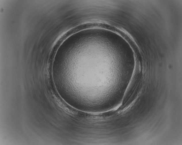 X0000065970783200603061148