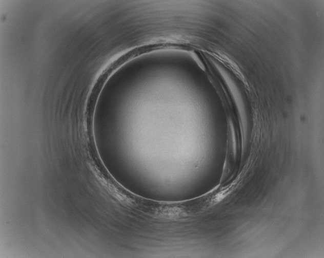 X0000065970784200603061148