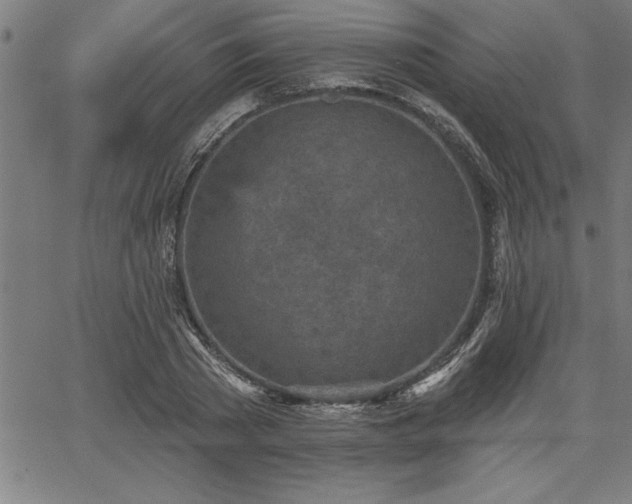 X0000065970785200603061148