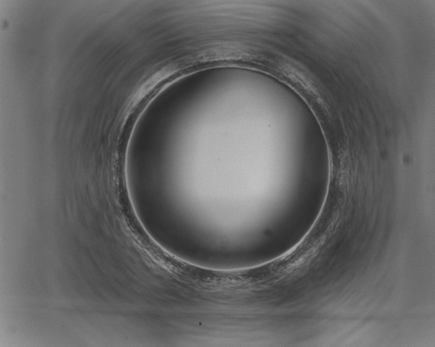 X0000065970786200603061148