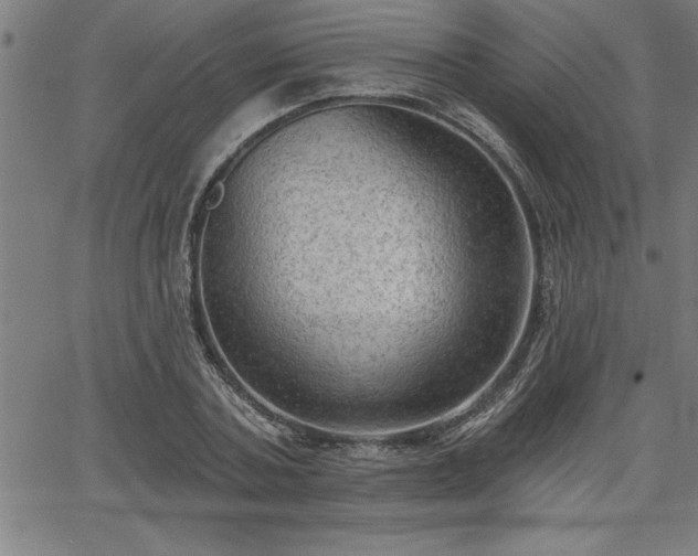 X0000065970787200603061148